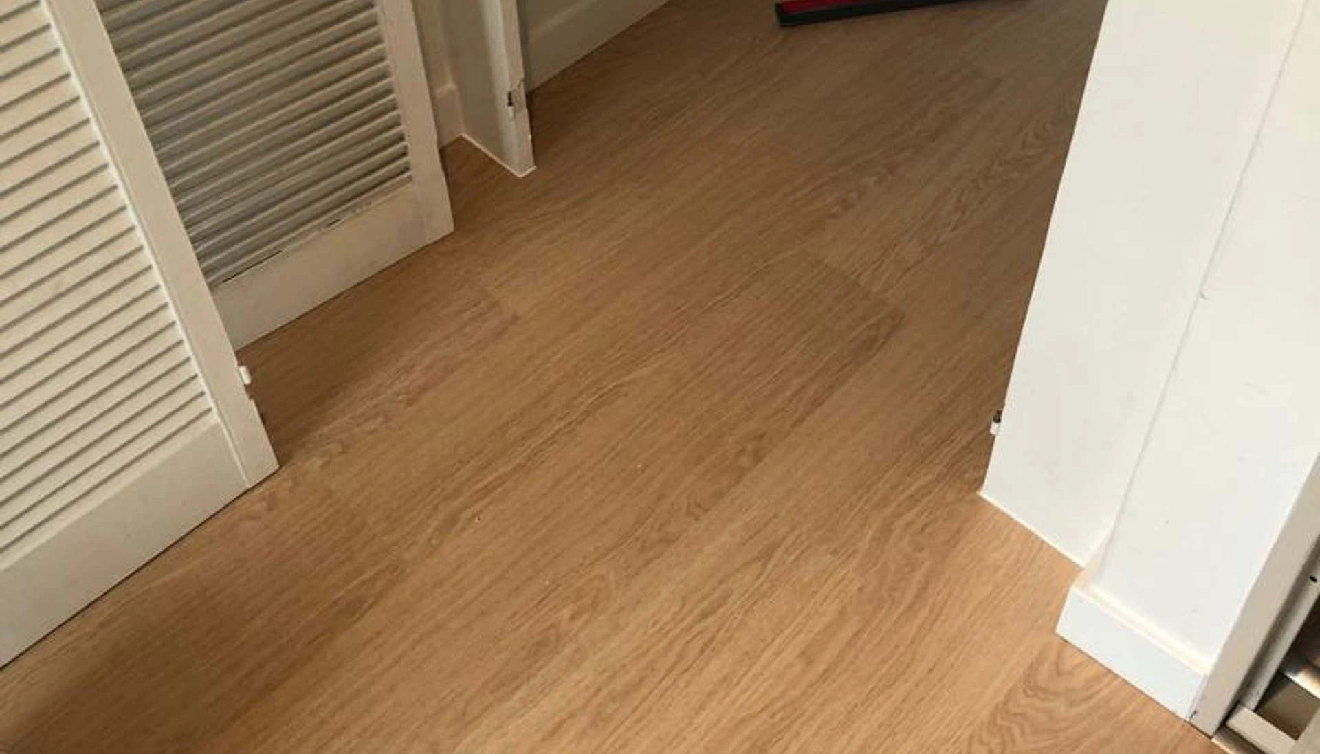 Project Plaatsen van Laminaat en Schilderplinten-1