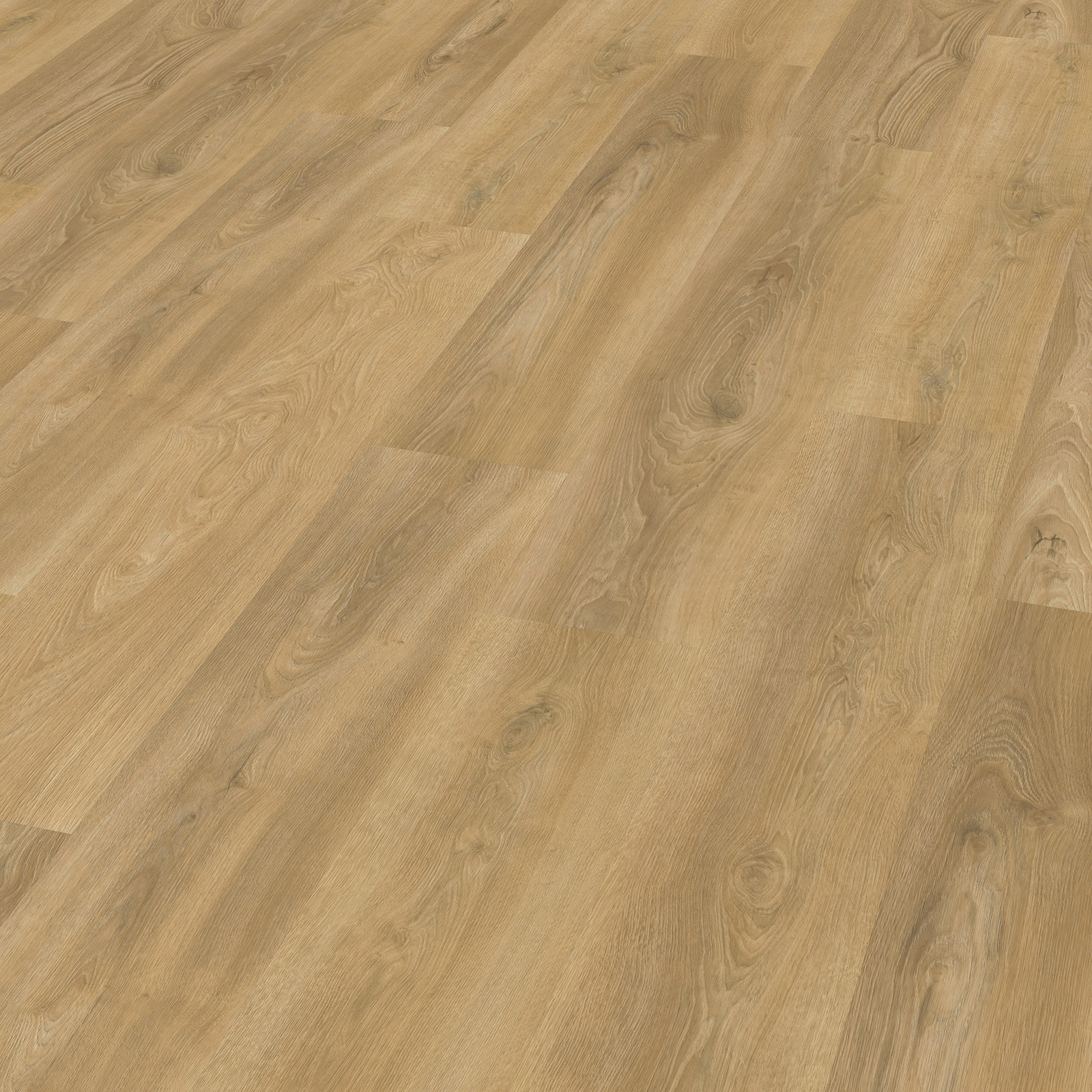 Eiken 3520 - Afbeelding 2