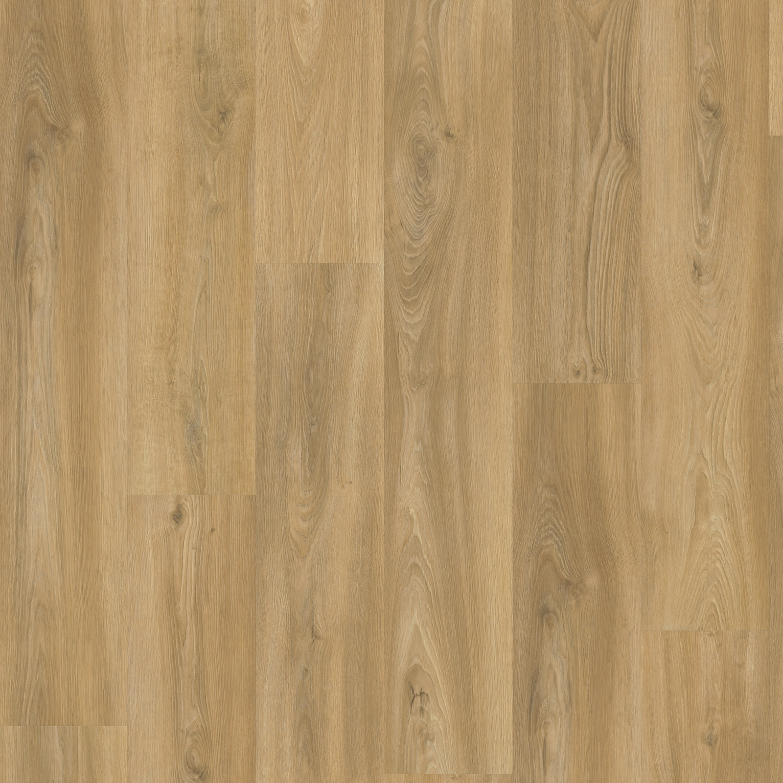 Eiken 3520 - Afbeelding 4