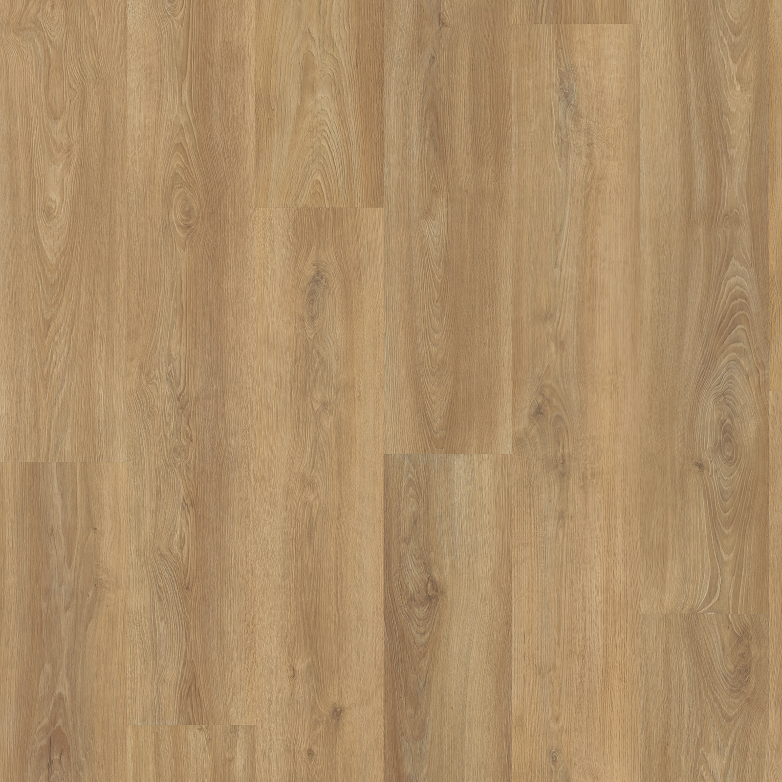 Eiken 3530 - Afbeelding 4