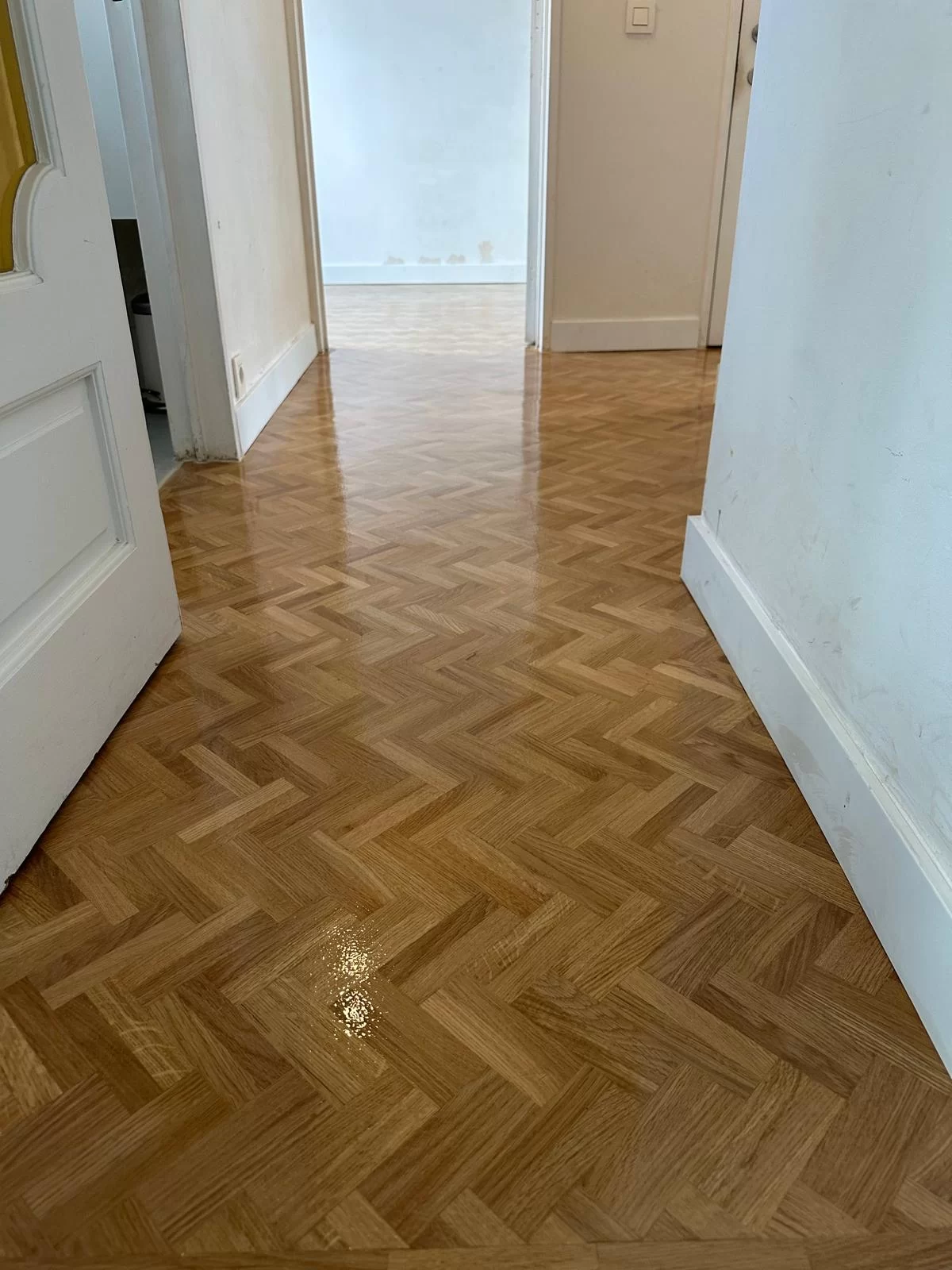 Paliesstraat Antwerpen4