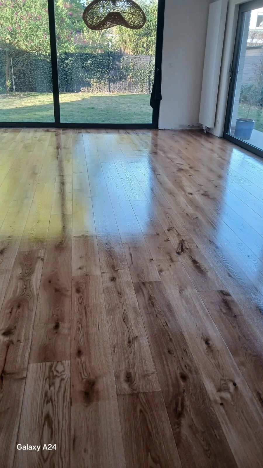 Schapendreef Kapellen8