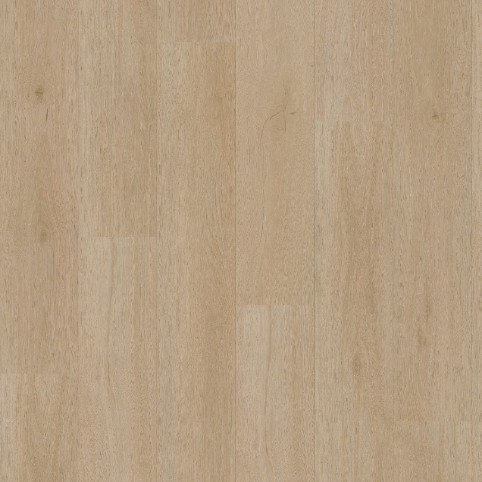 Eiken 7230 - Afbeelding 3